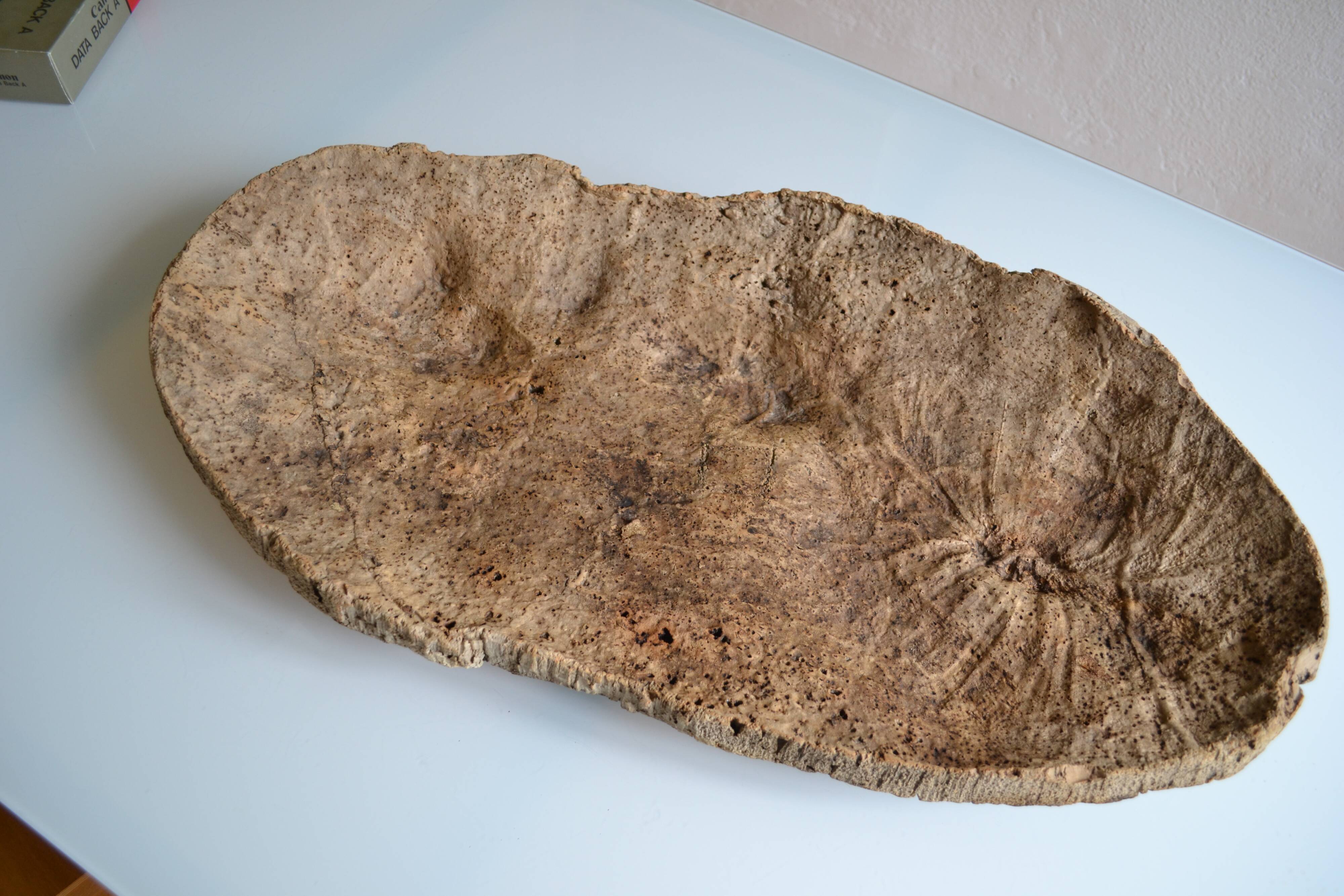 Provençal couasse giant dish in cork oak bark 72 / 37 cm