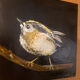 Bird painting - oil