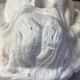 Lion head for fountain
