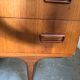 Vintage scandinavian wardrobe in teak