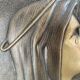 Bronze bas-relief of the Virgin