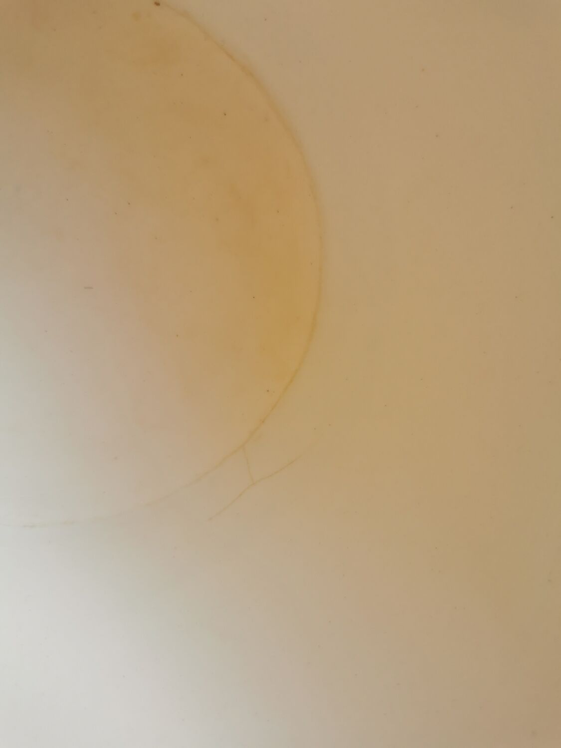 Old Digoin night vase