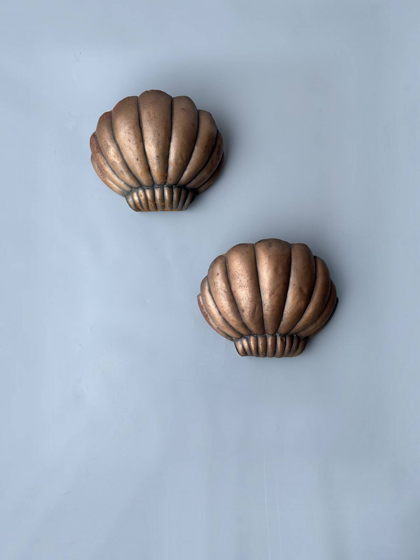 Paire d’appliques coquille Saint-Jacques 1960