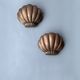 Paire d’appliques coquille Saint-Jacques 1960