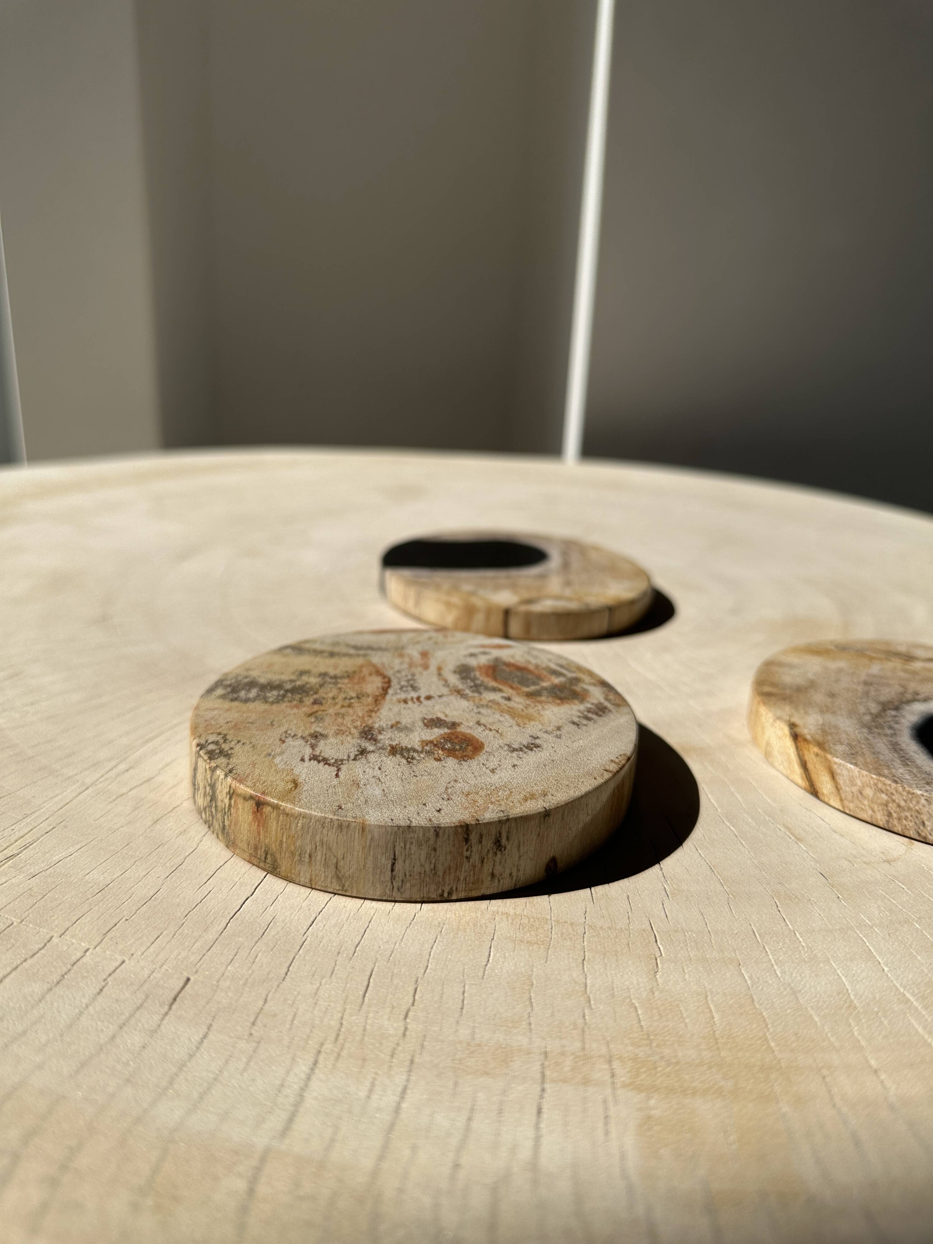 Set of 3 fossilized wood coasters (clear)