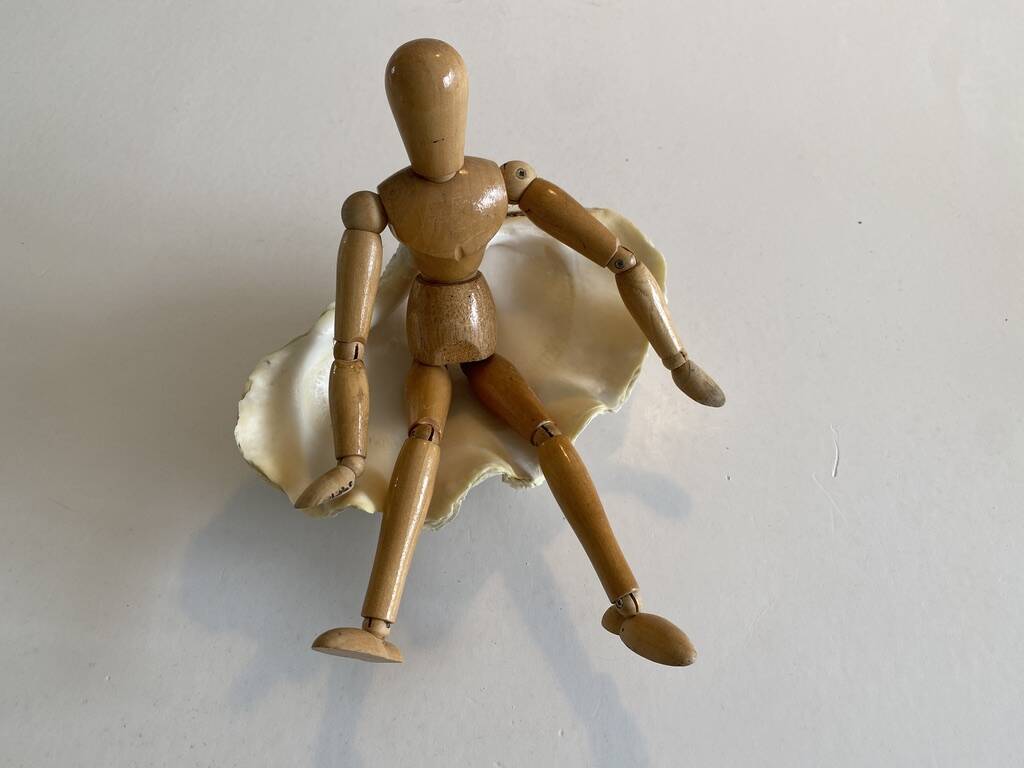 Holy water clam shell - 20x13x5 cm - Natural - 700g