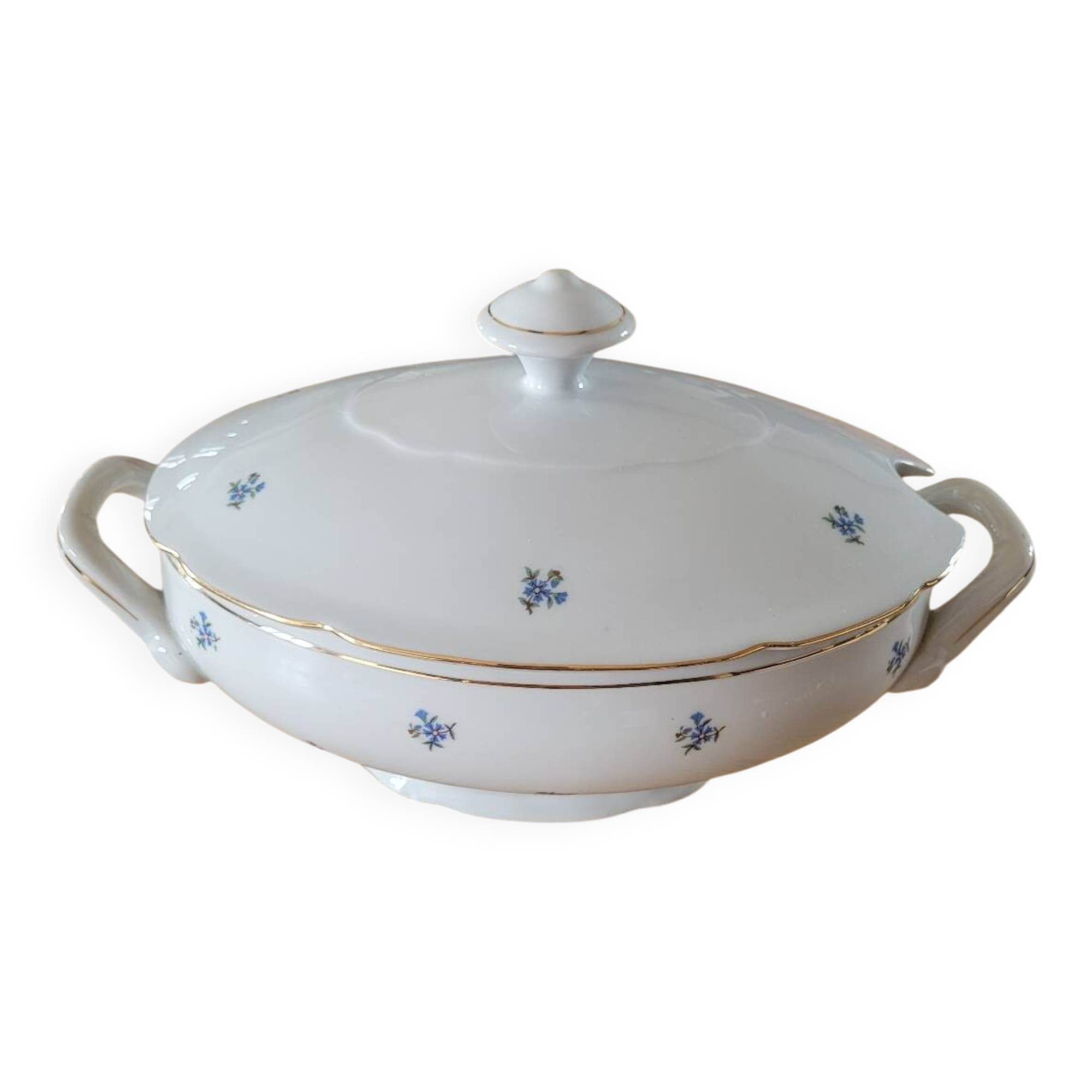 Vintage porcelain vegetable dish / soup tureen