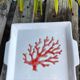 Square serving dish