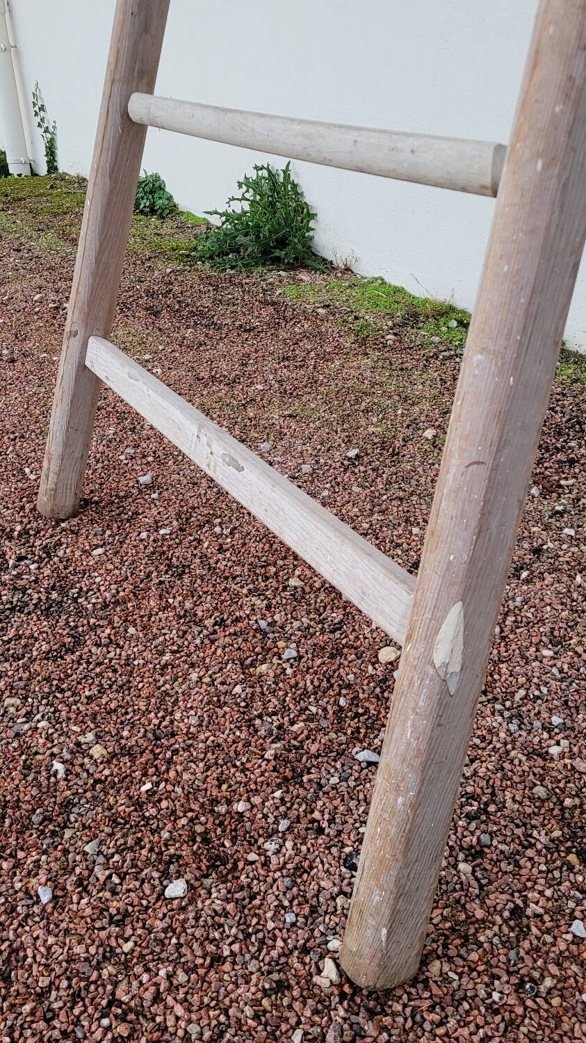 Old wooden fruit harvest market gardener's ladder - 3m65