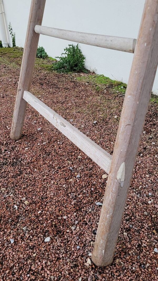 Échelle de maraîcher récolte fruitière en bois ancien -3m65