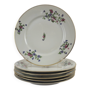 6 assiettes plates décor