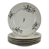 6 flat plates decorated with barbs