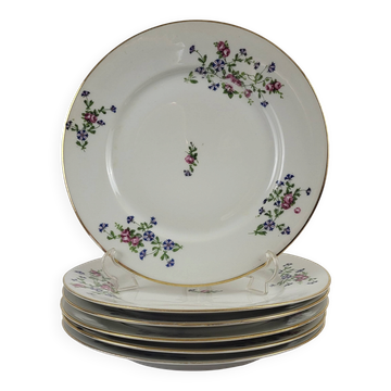 6 flat plates decorated with barbs