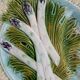 2 antique barbotine plates from Salins