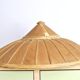 Asian hat