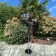 Eye Ball Floor Lamp