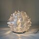 Cactus lamp slamp design adriano rachele Italy