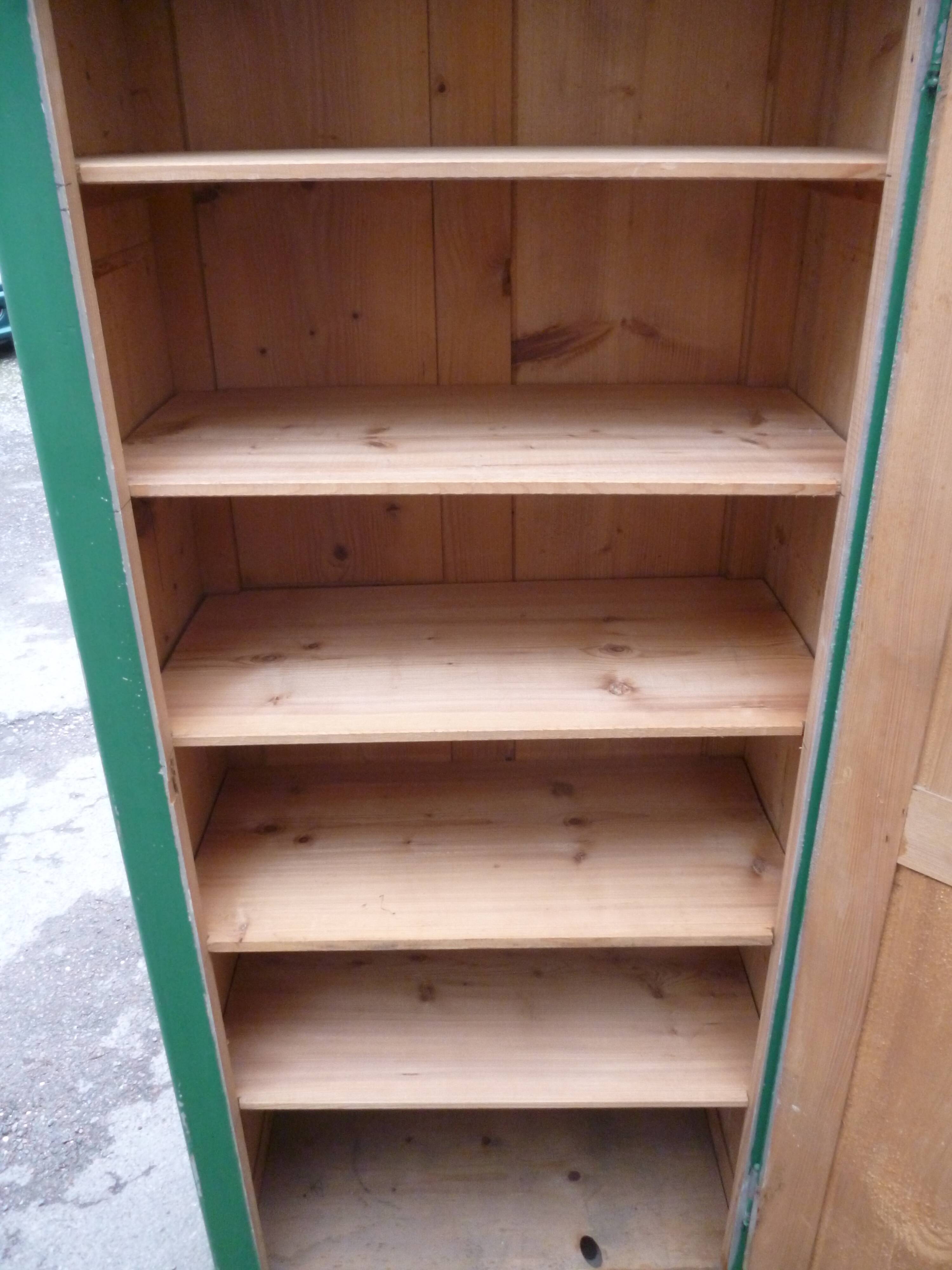 Cabinet 1 door in old fir green patina