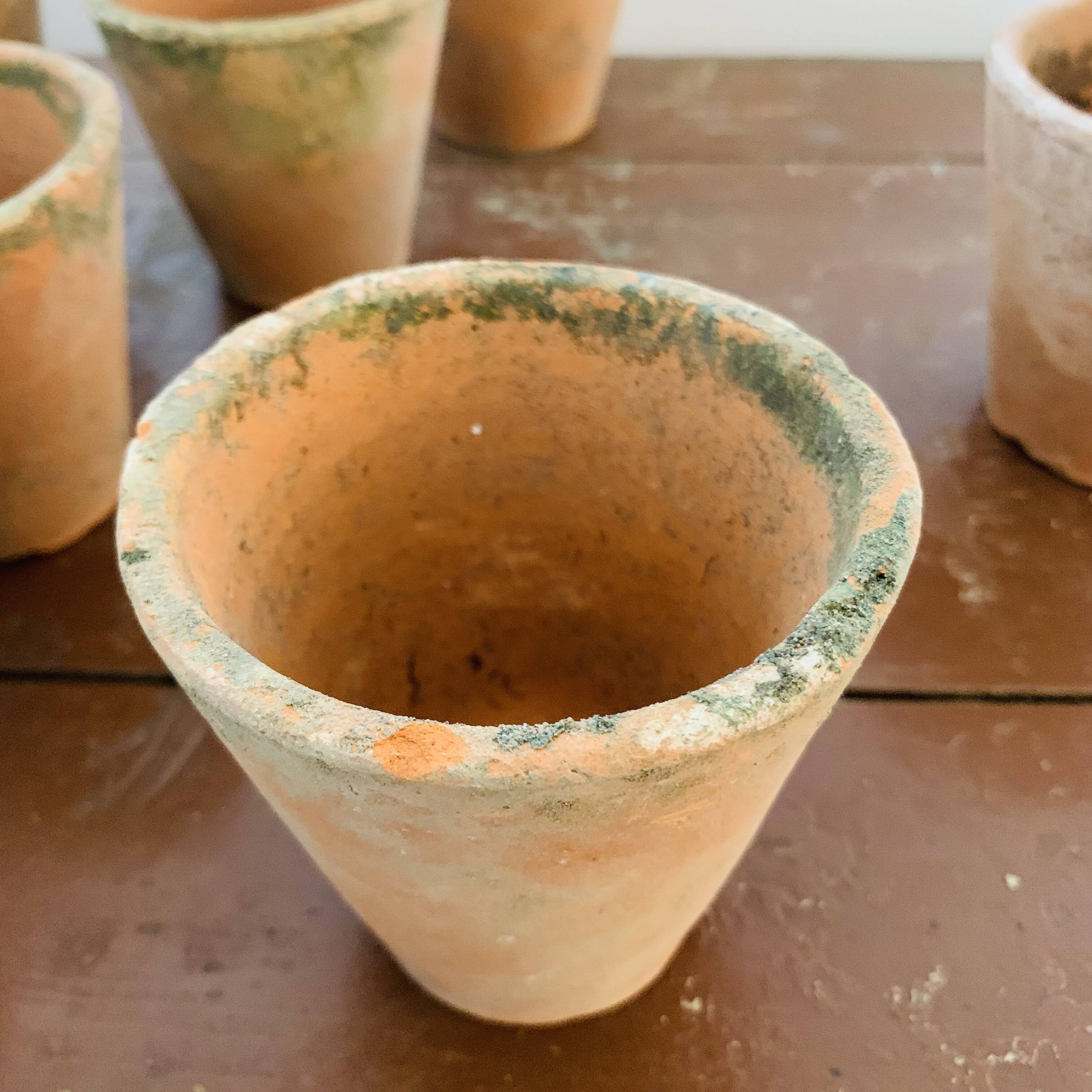 Lot of 10 terracotta pots circa 1930 graineterie