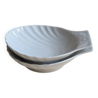 Pair of shell bowls
