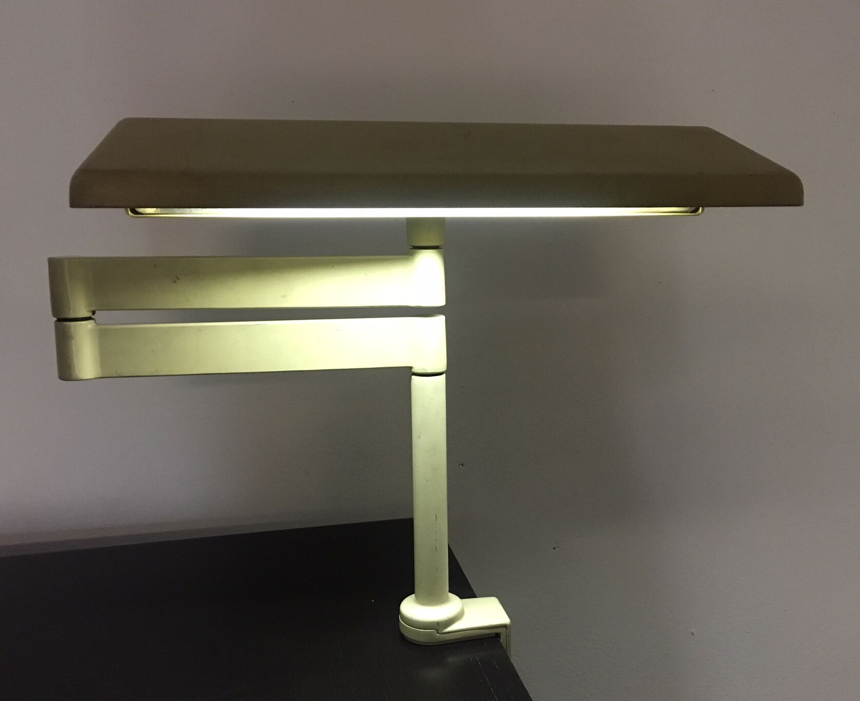 Pair of lamps Herman Miller LT100LN