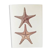Bestiary plates from the Natural History Museum The starfish