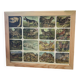 Affiche animalière ancienne