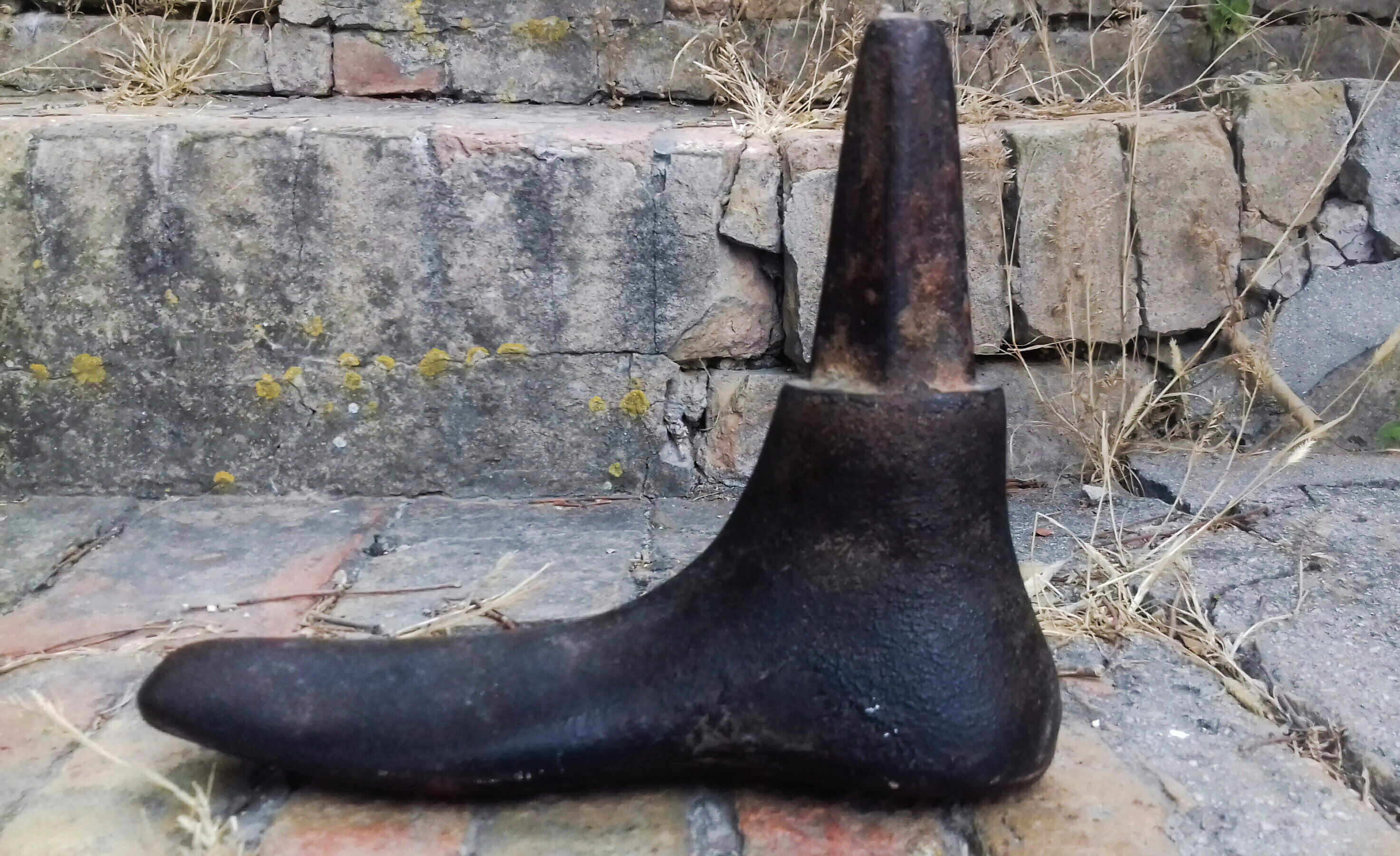 Old shoemaker tool