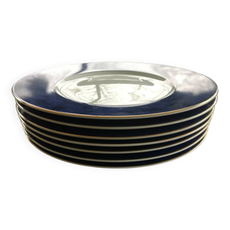 7 Assiettes Guy Degrenne