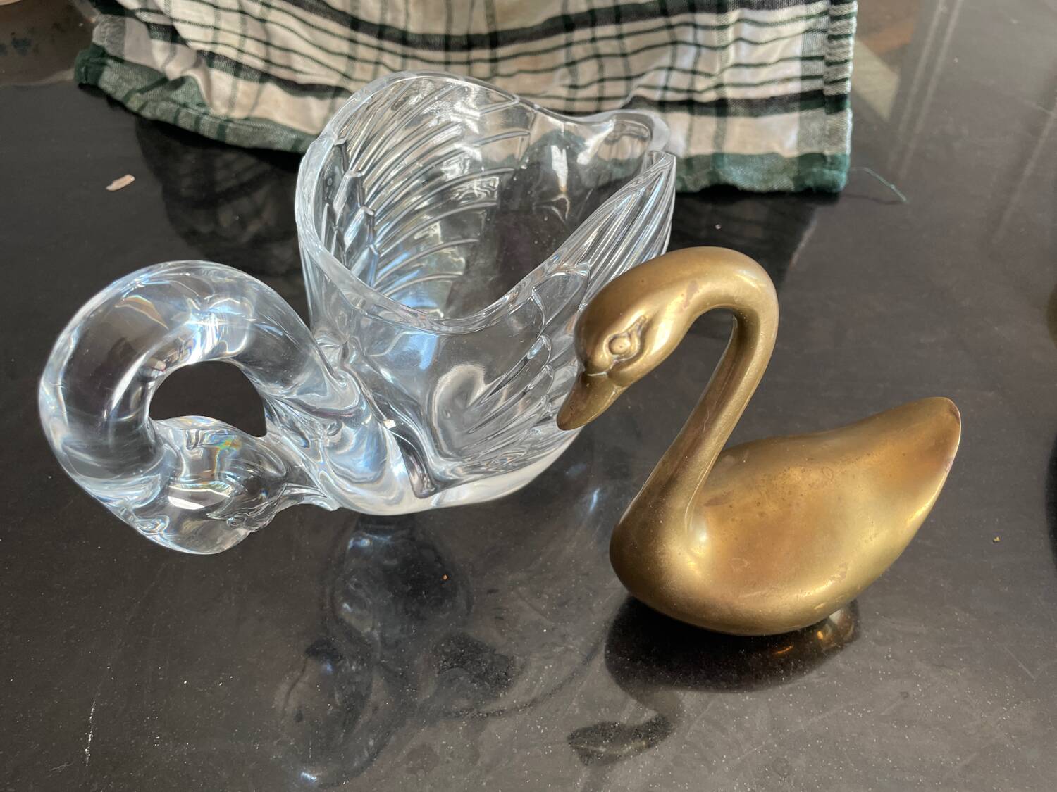 Swan