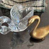 Cygne