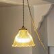 Suspension ou baladeuse holophane fil corde