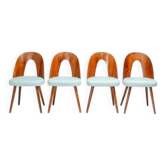 Ensemble de chaises Antonín Šuman, Tatra Nábytok, design tchécoslovaque des années 1960.