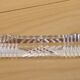 Set of 12 crystal knife holders