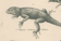 Antique engraving on reptiles : various lizards, pl3, 1828