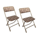 Set of 2 folding vintage chairs