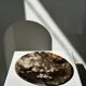 Dish in petrified wood