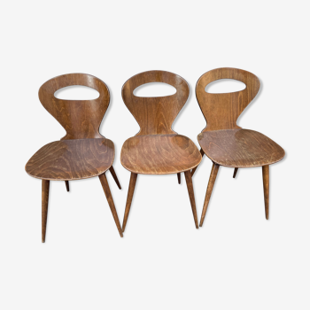 Baumann chairs "ant"