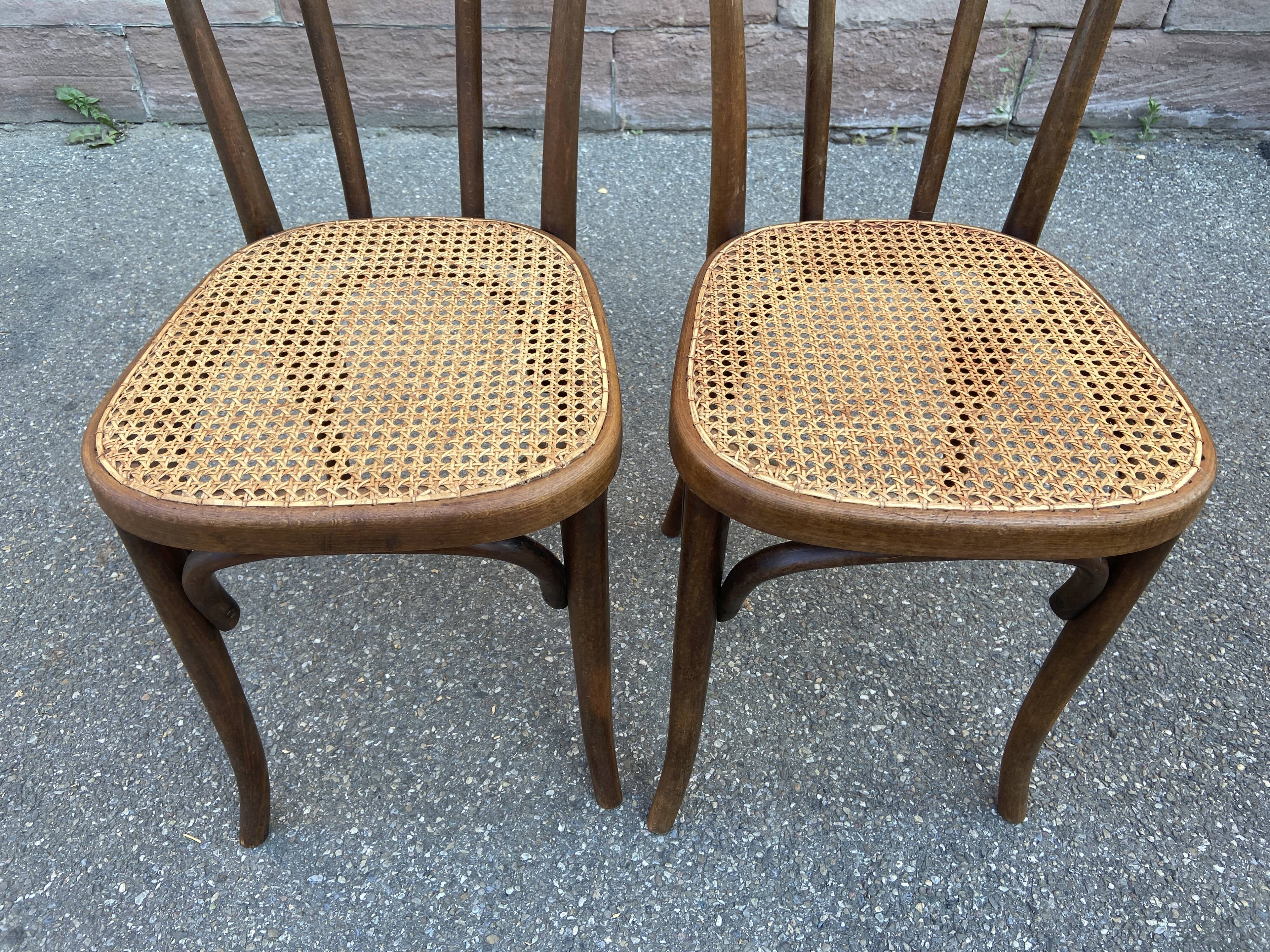 pair of Viennese chairs Bistrot café