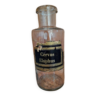 Bottle Cervus Elaphus