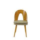 9 vintage designer dining chairs by Antonín Šuman for Tatra