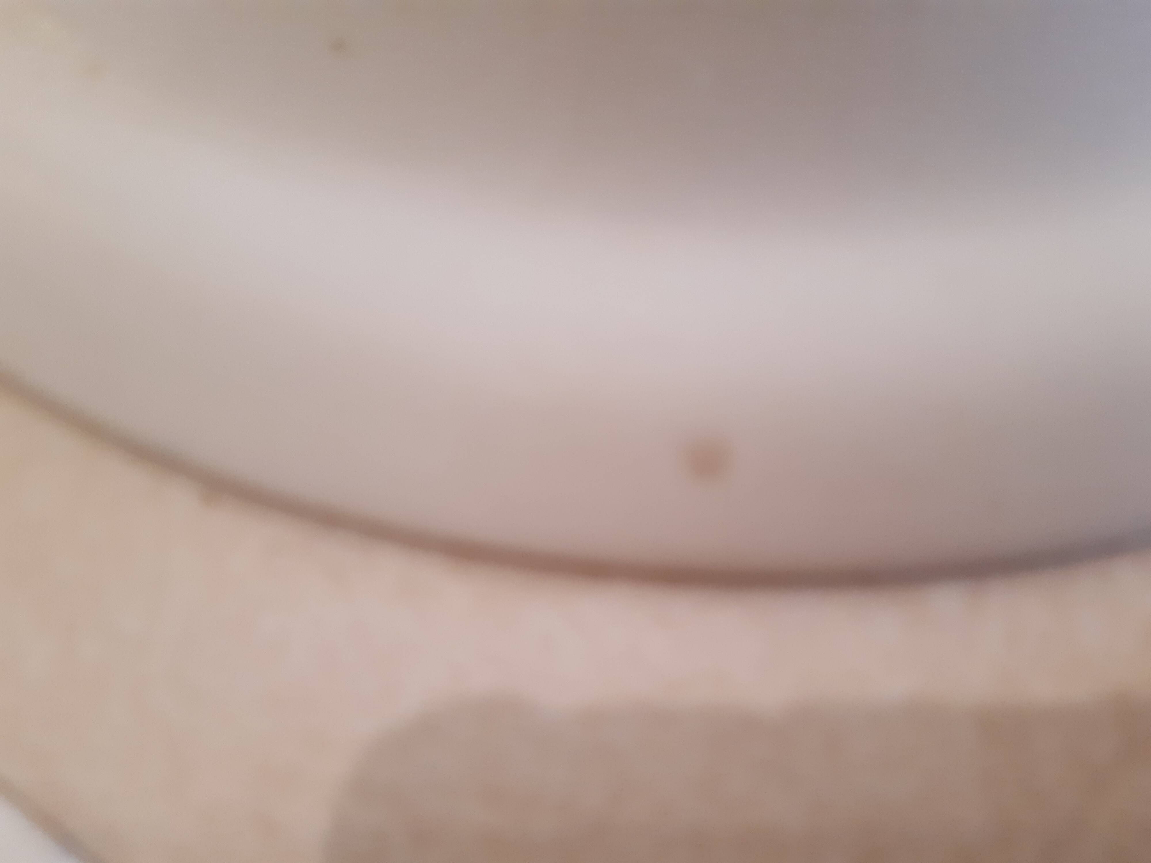 Set of two plates, flat and deep, with a country blue decoration.