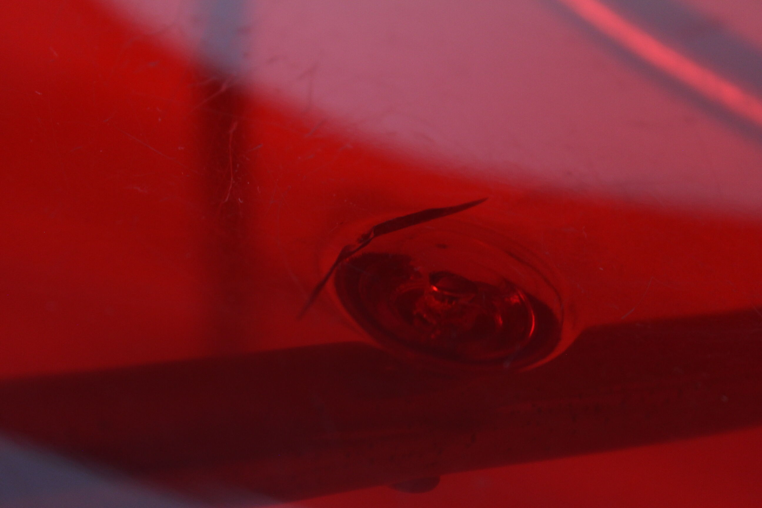 Sintesi Eye red plexiglass chair