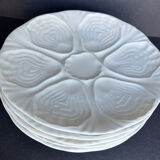 6 oyster plates