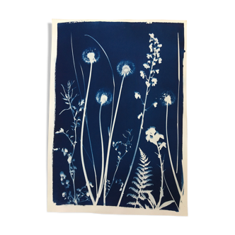 Botanical Cyanotype