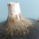 Fig-shaped oil lamp, stoneware soliflore, signed ceramic.