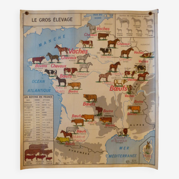 Carte scolaire ancienne "Le Gros Elevage" en France / "Le Rhône et ses affluents" (n°14), années 196