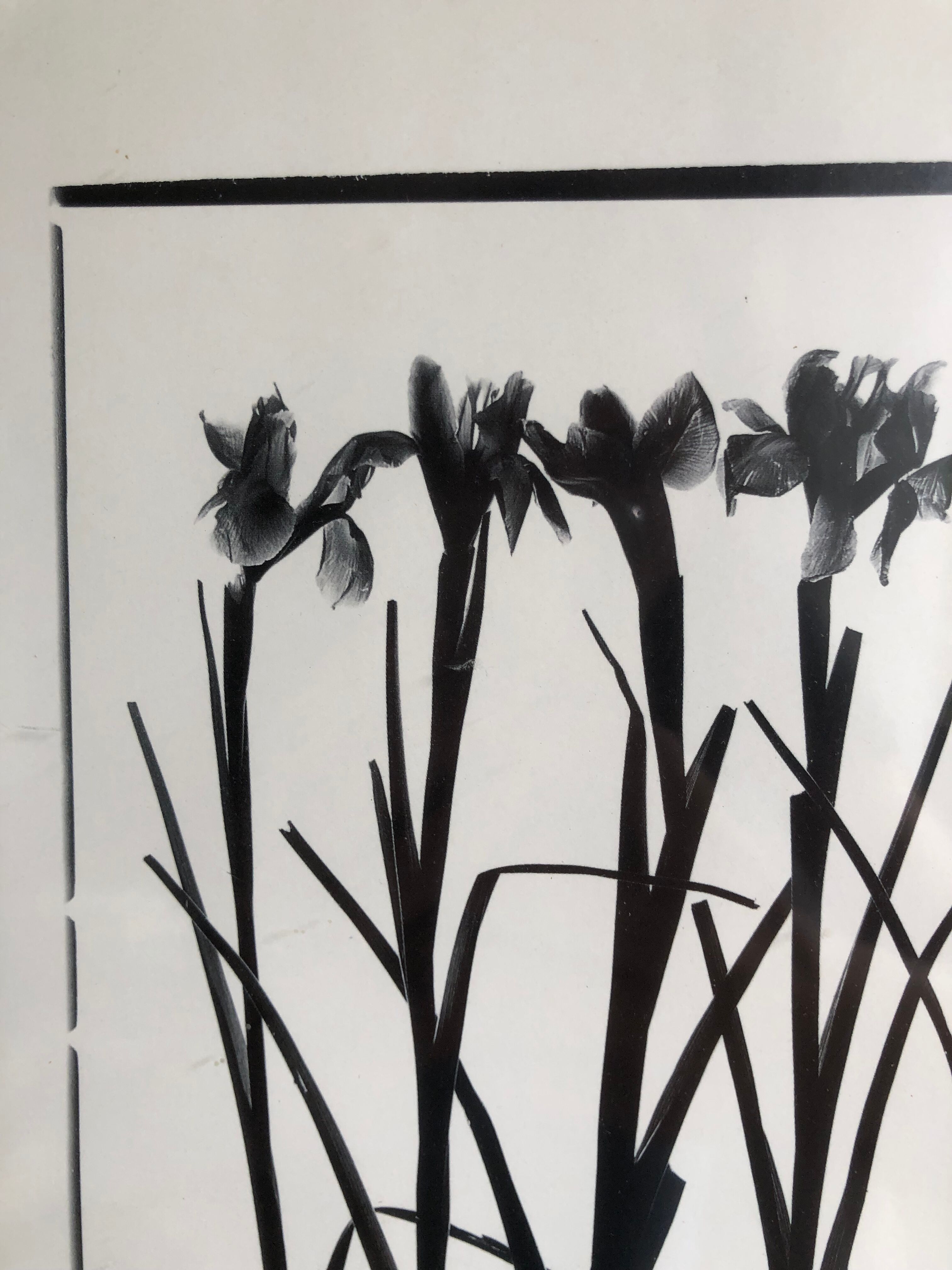 Flowers framed printing