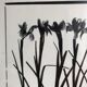 Flowers framed printing