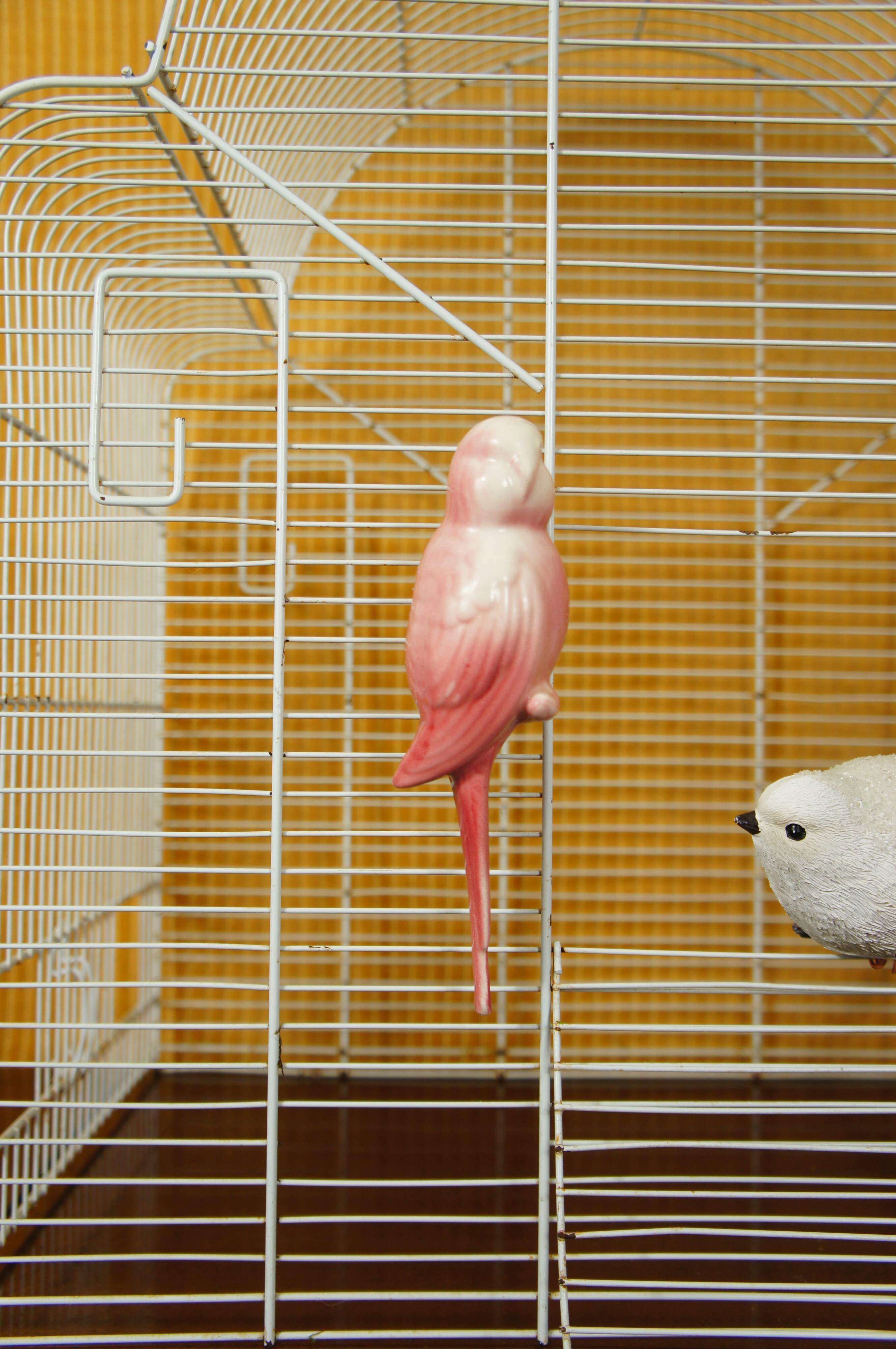 Decorative bird cage & its 3 piafs